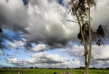 雷火电竞赛事实时比分-舞台中央的利拉德，当北京队灯光亮起，他已在征服快船的路上