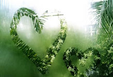 雷火电竞官方网站-智利逆转阿根廷，维尼修斯惊艳世界——足球激情与奇迹的华丽演绎